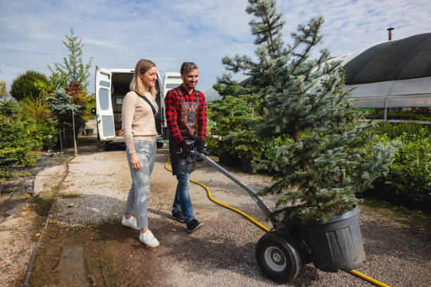 Best Hedge Trimming  in Huntington, WV